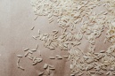 На засіданні Бюро Президії НААН розглядали інноваційні підходи до виробництва вітчизняного зерна рису